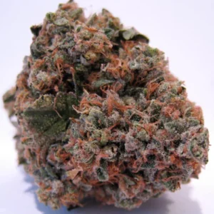 Buy Grand Daddy Purple Kush in Tahiti