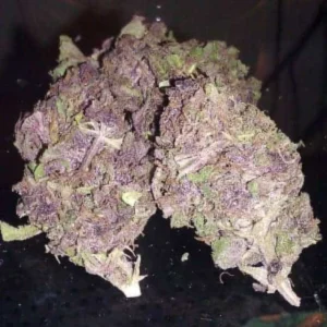 Buy Purple Haze in Tahiti